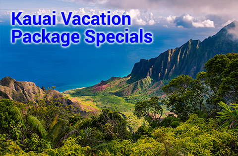 vacation packages