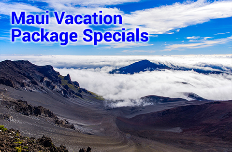 Vacation Packages