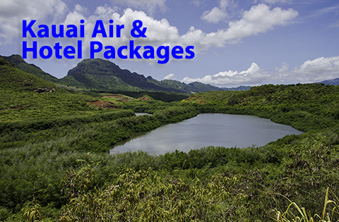 Hotel Packages