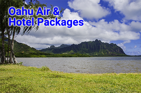 Cheap Airfare,cheap vacations all inclusive with airfare,cheap airfare to florida,cheap all inclusive vacation packages with airfare included,cheap airfare to hawaii,cheap airfare to las vegas