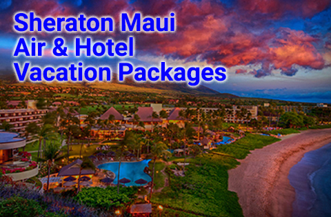 Vacation Packages