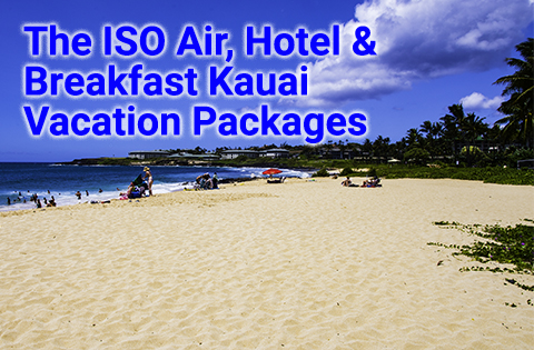 Vacation Packages